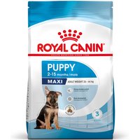 Royal Canin Maxi Puppy - 10 kg von Royal Canin Size