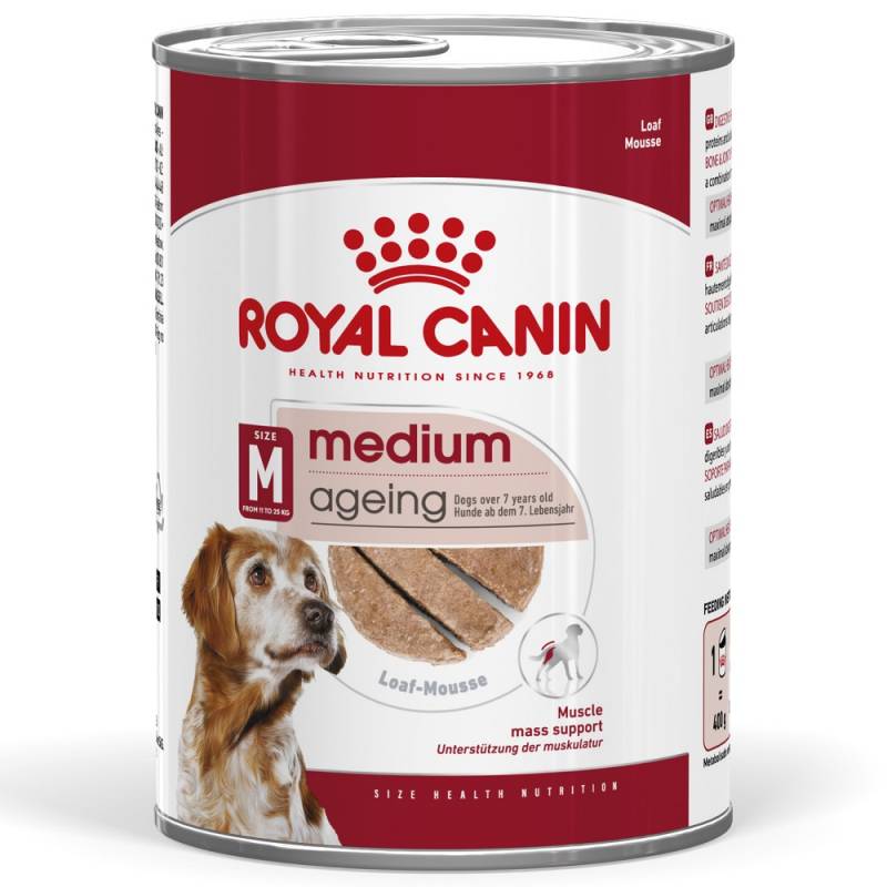 Royal Canin Medium Ageing Mousse - 12 x 410 g von Royal Canin Size