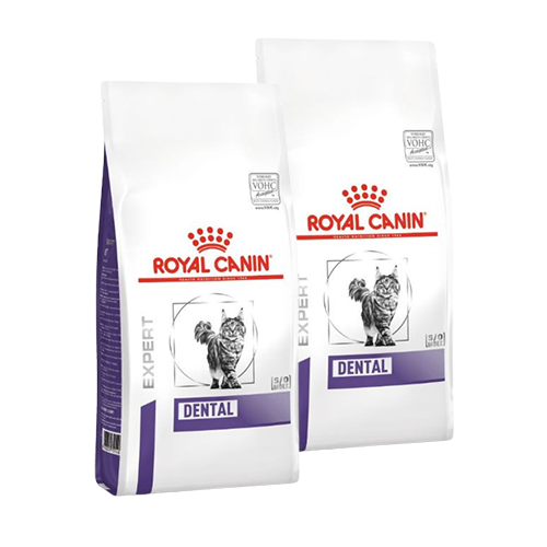 Royal Canin Expert Dental Katzenfutter 2 x 3 kg von Royal Canin Expert