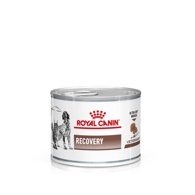 Royal Canin Veterinary Canine Recovery Mousse - 12 x 195 g von Royal Canin Veterinary Diet