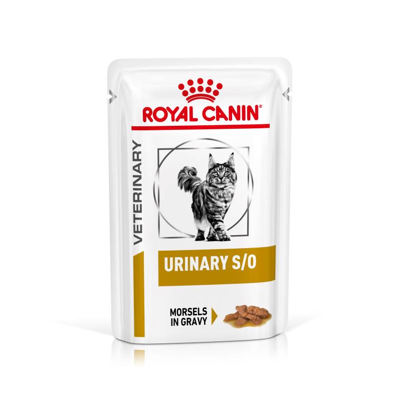 Royal Canin Veterinary Feline Urinary S/O in Soße oder Mousse - Häppchen in Soße (24 x 85 g) von Royal Canin Veterinary Diet