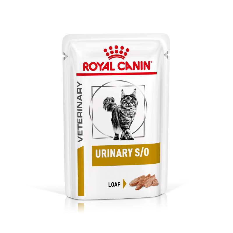 Royal Canin Veterinary Feline Urinary S/O in Soße oder Mousse - Mousse (48 x 85 g) von Royal Canin Veterinary Diet