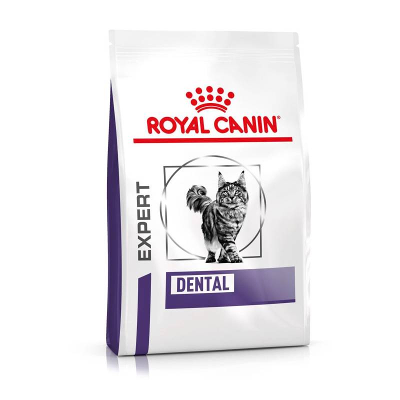 ROYAL CANIN® Expert DENTAL Trockenfutter für Katzen 3kg von Royal Canin