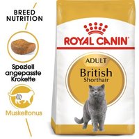 ROYAL CANIN British Shorthair Adult 2 kg von Royal Canin