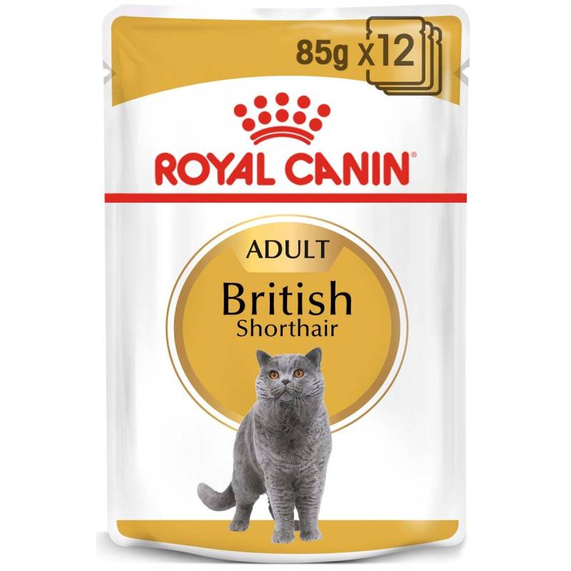 ROYAL CANIN British Shorthair Adult Katzenfutter nass für Britisch Kurzhaar 12x85g von Royal Canin