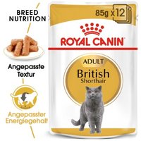 ROYAL CANIN British Shorthair Adult in Soße 12x85 g von Royal Canin