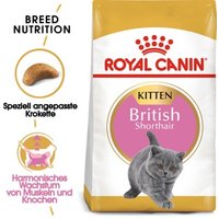 ROYAL CANIN British Shorthair Kitten 400 g von Royal Canin