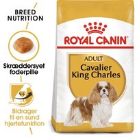 ROYAL CANIN Cavalier King Charles Adult 1,5 kg von Royal Canin