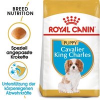 ROYAL CANIN Cavalier King Charles Puppy 1,5kg von Royal Canin