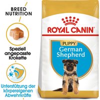 ROYAL CANIN German Shepherd Puppy 3 kg von Royal Canin