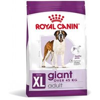 ROYAL CANIN Giant Adult 4 kg von Royal Canin