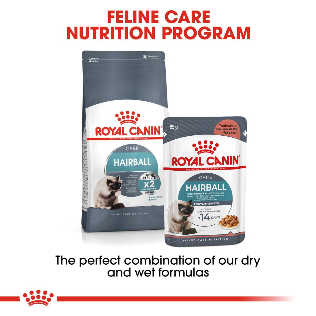 ROYAL CANIN HAIRBALL CARE Trockenfutter 2kg + Nassfutter 12x85g von Royal Canin