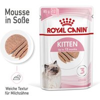 ROYAL CANIN Kitten Mousse in Soße 12x85 g von Royal Canin