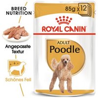 ROYAL CANIN Poodle Adult in Soße 12x85 g von Royal Canin