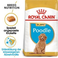 ROYAL CANIN BHN Poodle Puppy 3kg von Royal Canin