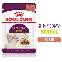 ROYAL CANIN Sensory Smell in Soße für wählerische Katzen 12x85 g von Royal Canin