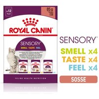 ROYAL CANIN Sensory Smell Taste Feel Multipack in Soße 12x85 g von Royal Canin