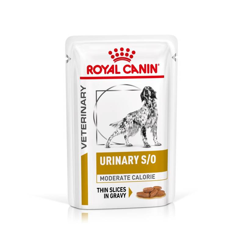 ROYAL CANIN® Veterinary URINARY S/O MODERATE CALORIE Nassfutter für Hunde 12x100g von Royal Canin