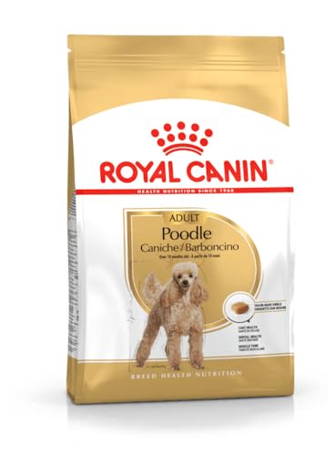 Royal Canin Poodle Adult | 500 g | Trockenfutter für ausgewachsene Poodle | Zur Unterstützung des Fells und des Muskeltonus | Für Hunde ab dem 10. Lebensmonat von ROYAL CANIN