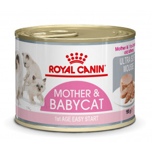 Royal Canin Babycat Instinctive Mousse Katzenfutter 1 Palette (12 x 195 g) von Royal Canin