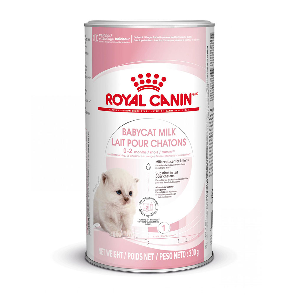 Royal Canin Babycat Milk - 300 g Royal Canin Babycat Milk - 300 g von Royal Canin