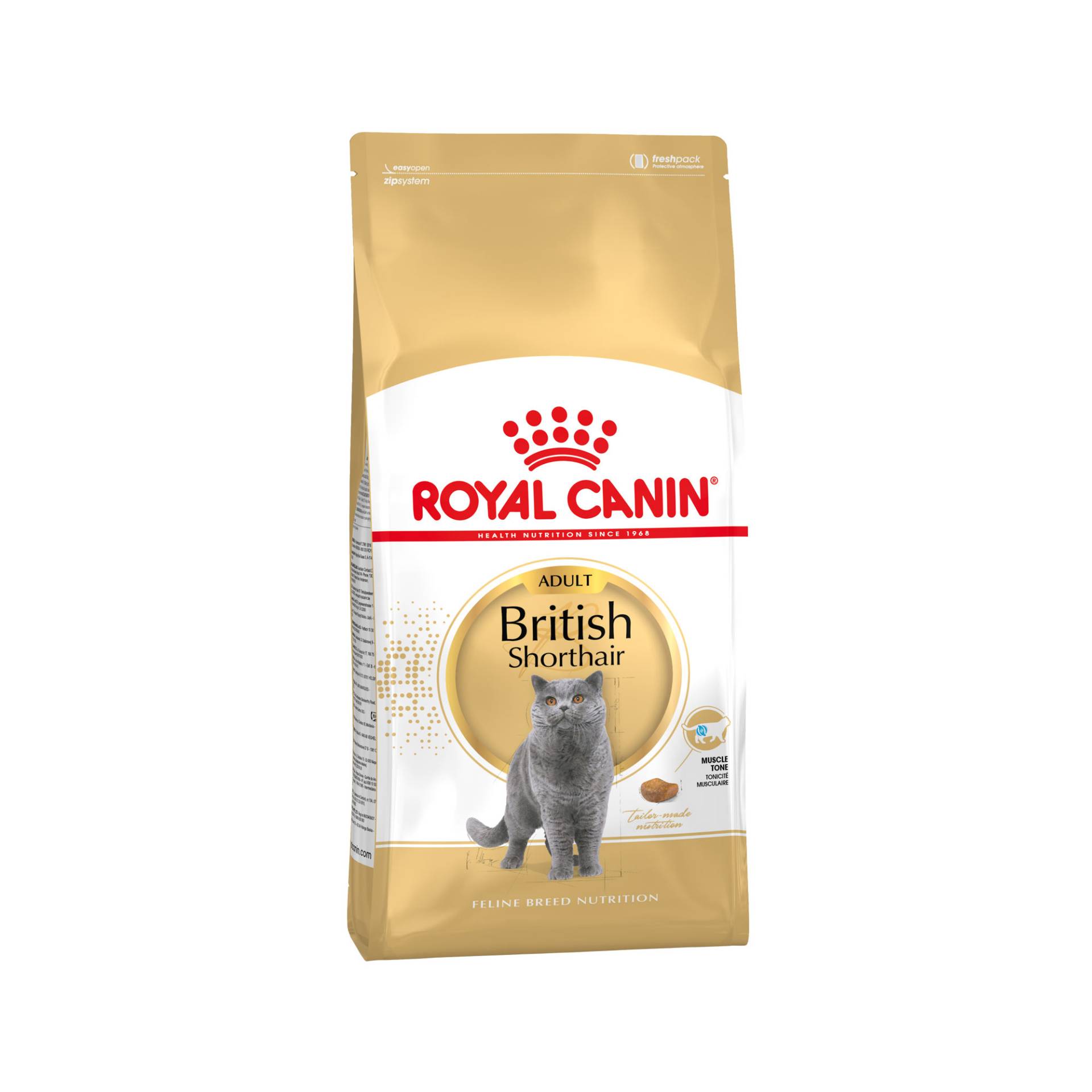 Royal Canin British Shorthair Adult Katzenfutter - 10 kg von Royal Canin