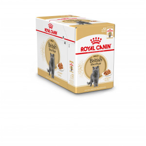 Royal Canin British Shorthair Adult Nassfutter 1 Karton (12 x 85 g) von Royal Canin