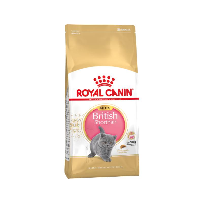 Royal Canin British Shorthair Kitten Katzenfutter - 10 kg von Royal Canin