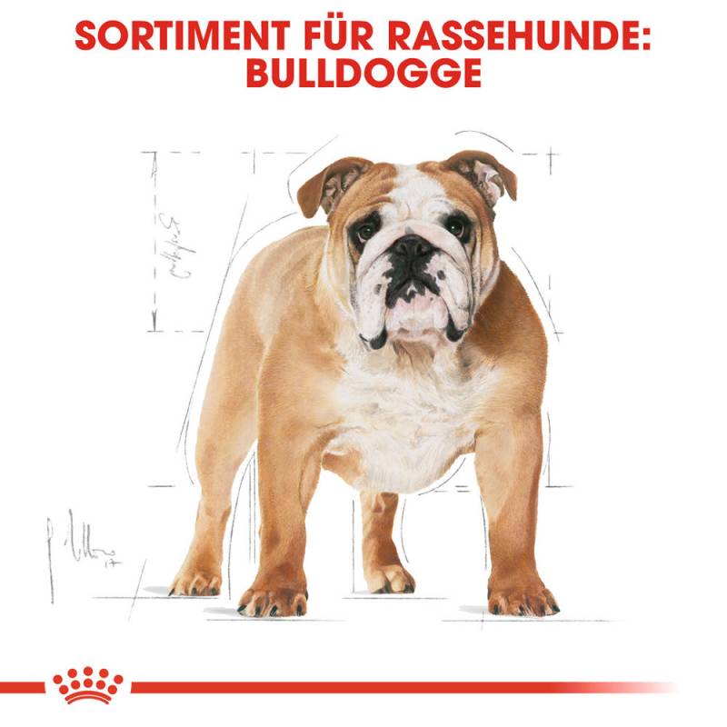 Royal Canin Bulldog Adult Hundefutter - 12 kg von Royal Canin