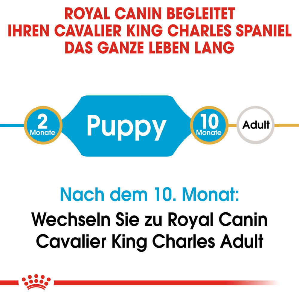 Royal Canin Cavalier King Charles Puppy Hundefutter - 1,5 kg von Royal Canin