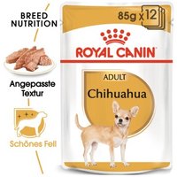 ROYAL CANIN Chihuahua Adult Mousse 12x85 g von Royal Canin