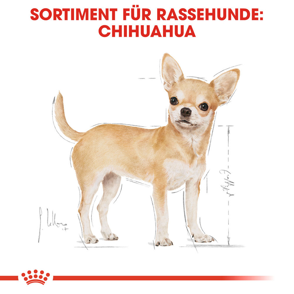 Royal Canin Chihuahua Adult Hundefutter - Frischebeutel - 12 x 85 g von Royal Canin