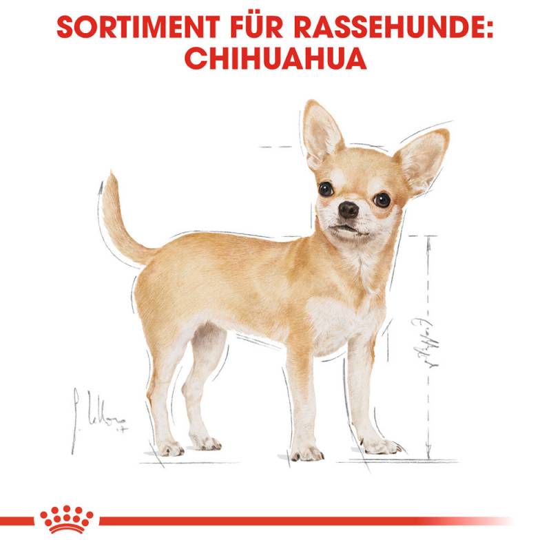 Royal Canin Chihuahua Adult Hundefutter - Frischebeutel - 12 x 85 g von Royal Canin