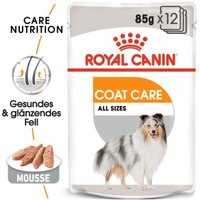 ROYAL CANIN Coat Care Adult Mousse 12x85 g von Royal Canin