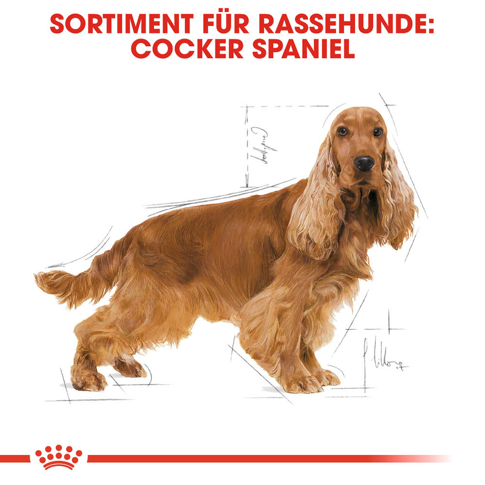 Royal Canin Cocker Adult Hundefutter - 12 kg von Royal Canin