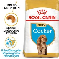 ROYAL CANIN Cocker Puppy 3kg von Royal Canin