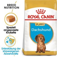 ROYAL CANIN Dachshund Puppy 1,5 kg von Royal Canin