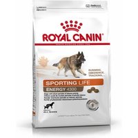 ROYAL CANIN ENERGY 4300 (TRAIL) 15 kg von Royal Canin