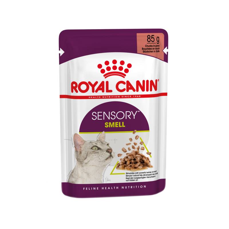 Royal Canin FHN Sensory Smell In Gravy - 12 x 85 g von Royal Canin