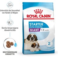 ROYAL CANIN Giant Starter 15kg von Royal Canin