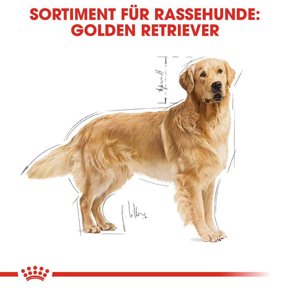 Royal Canin Golden Retriever Adult Hundefutter - 3 kg von Royal Canin