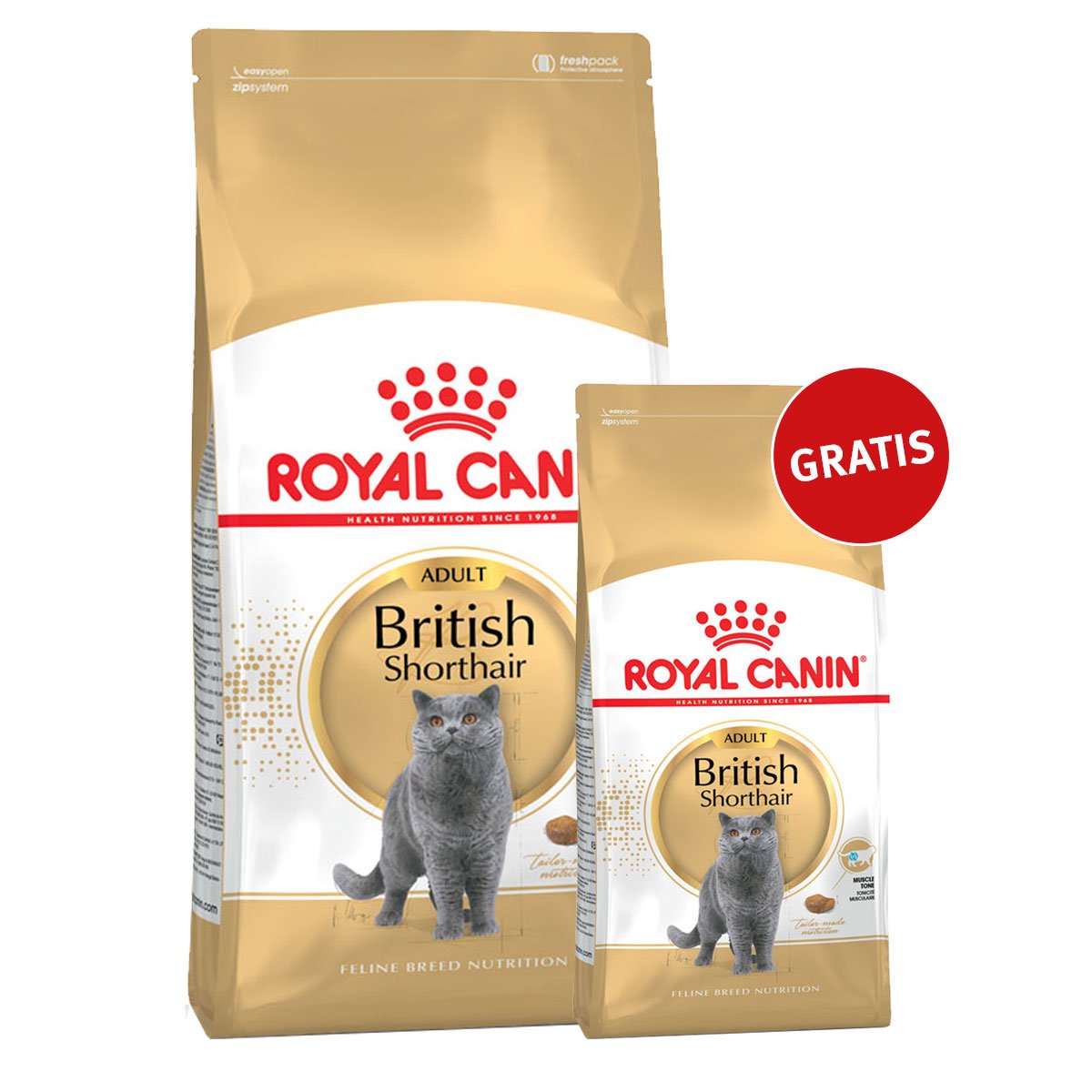 Royal Canin Katzenfutter British Shorthair 10kg+2kg gratis von Royal Canin