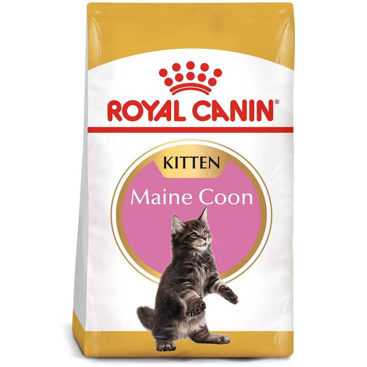 ROYAL CANIN Maine Coon Trockenfutter für Kätzchen 4kg von Royal Canin