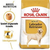 ROYAL CANIN Labrador Retriever Adult 3 kg von Royal Canin