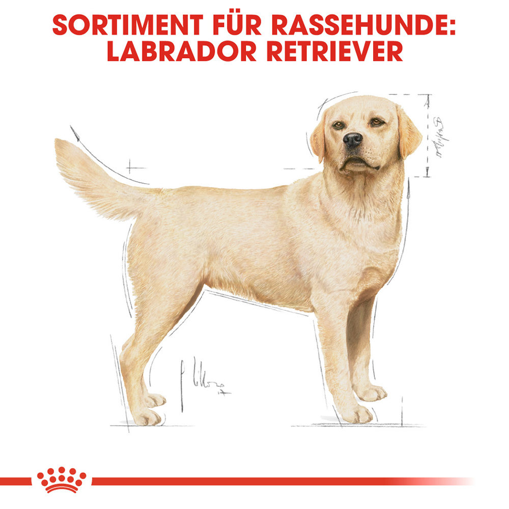 Royal Canin Labrador Retriever Adult Hundefutter - 12 kg von Royal Canin