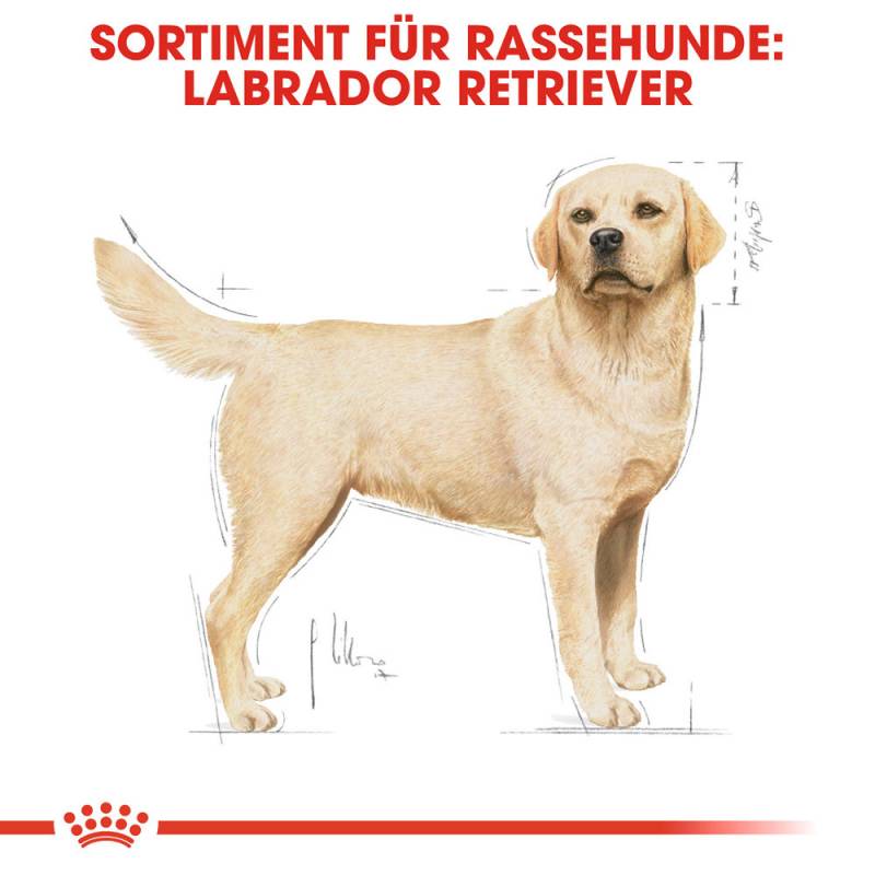 Royal Canin Labrador Retriever Adult Hundefutter - 12 kg von Royal Canin