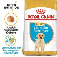 ROYAL CANIN Labrador Retriever Puppy 12 kg von Royal Canin