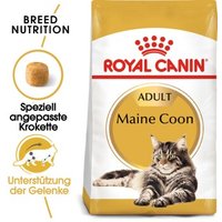 ROYAL CANIN Maine Coon Adult 10 kg von Royal Canin