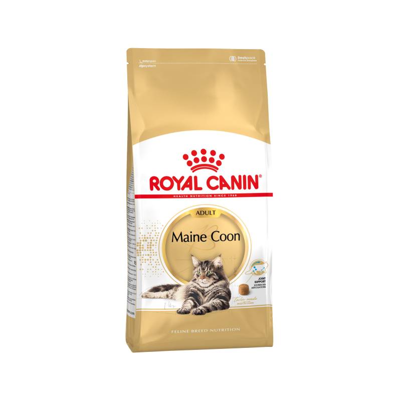 Royal Canin Maine Coon Adult Katzenfutter - 10 kg von Royal Canin