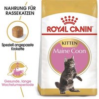 ROYAL CANIN Maine Coon Kitten 10 kg von Royal Canin